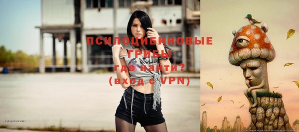 герыч Каменногорск