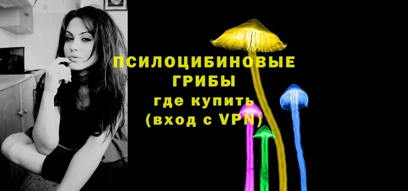 Псилоцибиновые грибы MAGIC MUSHROOMS  Рыбинск 