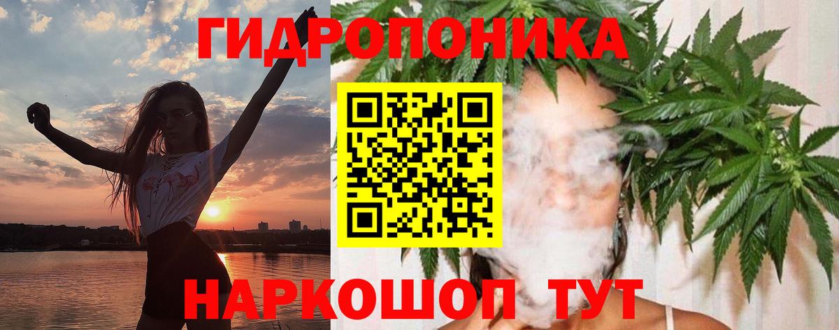 Бошки Шишки сатива Рыбинск